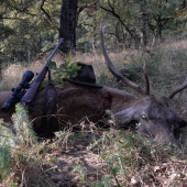 Keď sa ráno podarí...