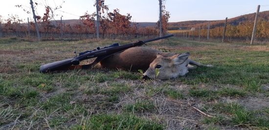 ,,Jesenné čaro viníc,,