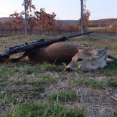 ,,Jesenné čaro viníc,,