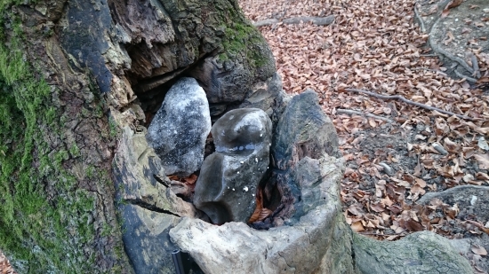 Kontrola+doplnenie soliska