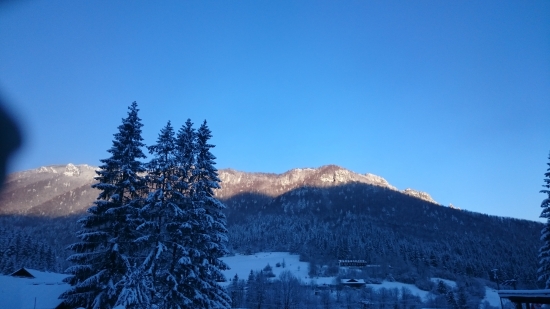 Sokolie