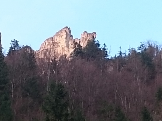Ťava