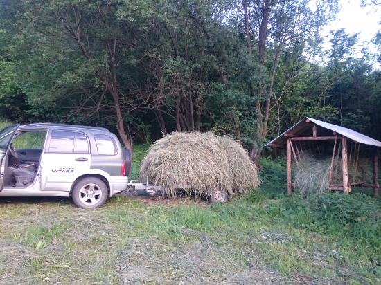 Keď sa sienko do hory tíško zvláča!