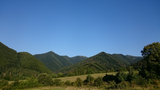 Pohľad na hole
