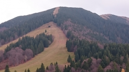 Poludňový grúň