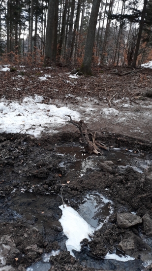 Keď hľadáš zhody nájdeš....