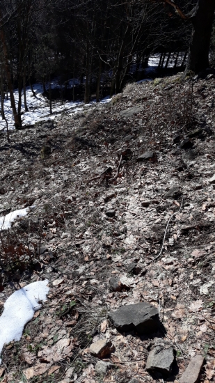 Pár k ID fotky: 346481