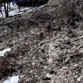 Pár k ID fotky: 346481