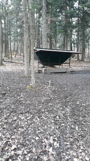 Odmena za prikrmovanie