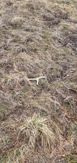 Aspoň niečo na začiatok sezóny