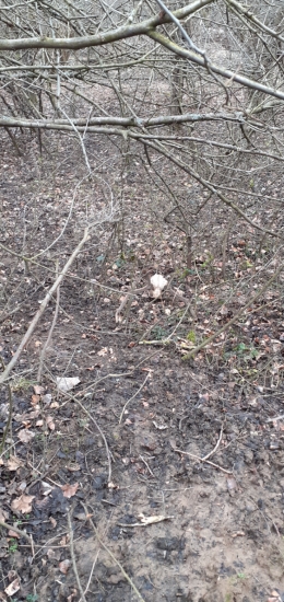 100 krát som išiel popri ňom