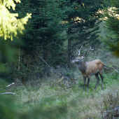 Na velkou vzdálenost