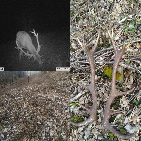 Nepravidelný 14torák