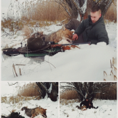 keď splnené sny vystriedala vášeň lovu tejto šelmy.... lovu zdar priatelia