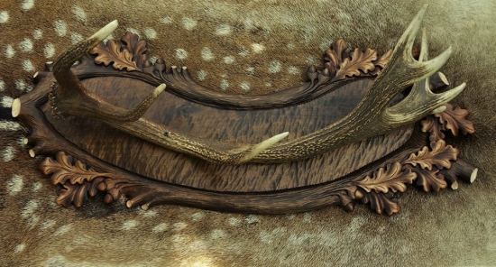 Věšák (paroh + lipové dřevo)