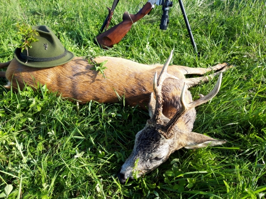 Medailový. 113,48 b CIC bronz