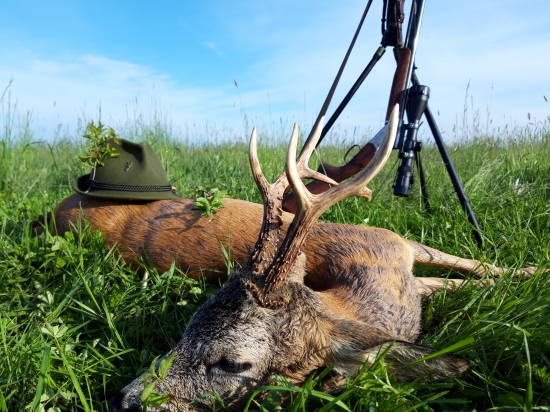 Jeden z mojich naj. Bronz 113,48 b cic