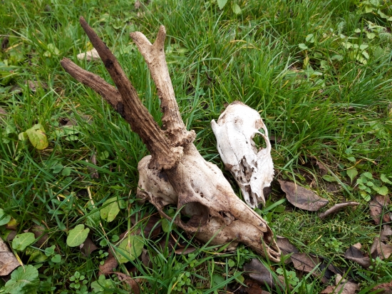 pri dopĺňaní soľníkov