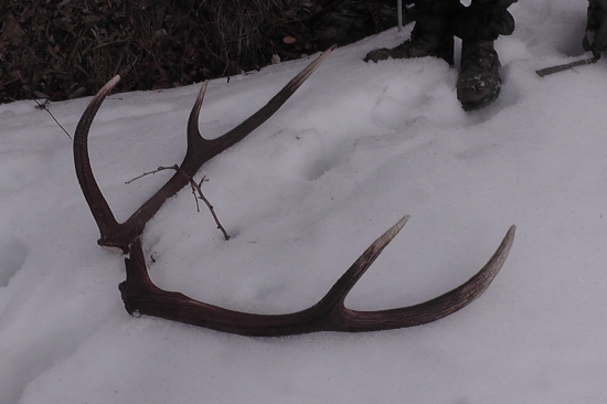 Večný šesťtorák?