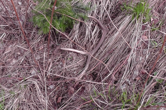 Po piatich metroch ďalší