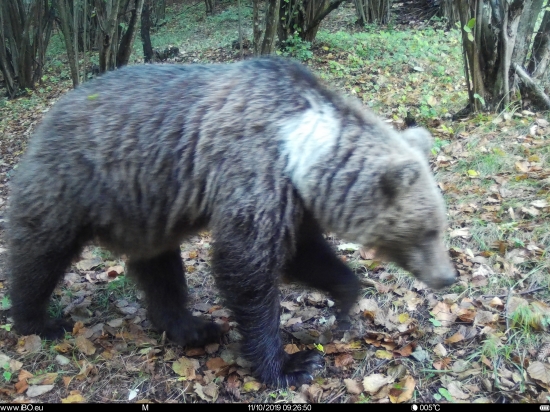 Konečne