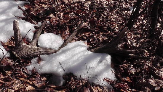 Druhý-lepší pohľad