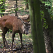 Pozorný na svojom mieste