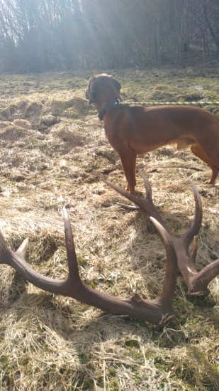 Lebo s ním sa mi darí