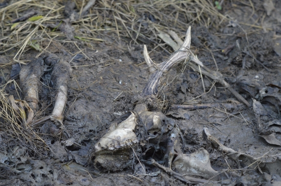 Nevím co si mám myslet.