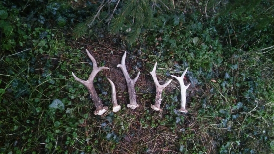 9.12.2018.Všechny čerstvé.