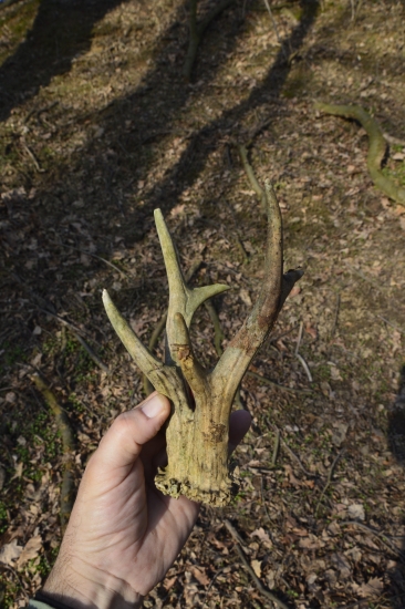 Hříčka přírody.