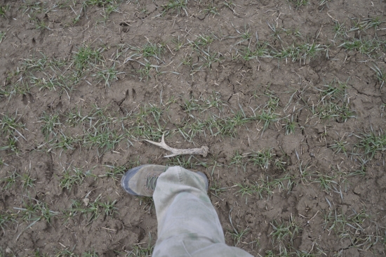 Opět jeden přes 25 cm.