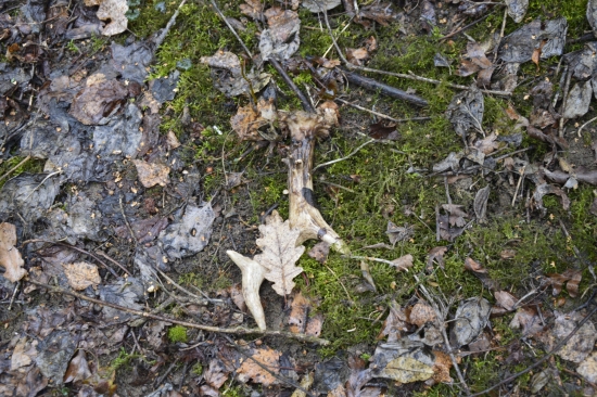 Pár metrů od solníka.