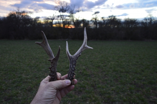 Poslední úspěšný den.