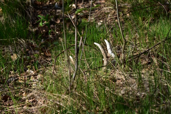 Pohled který nikdy neomrzí.