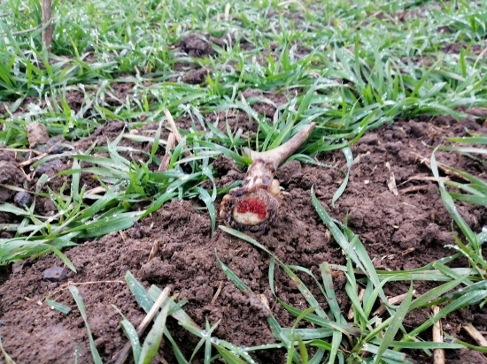 Ještě se z něj kouřilo:-)