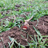 Ještě se z něj kouřilo:-)