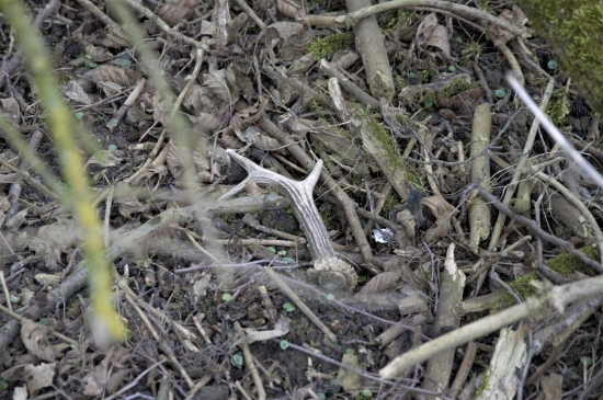 Konečně jeden čerstvý.