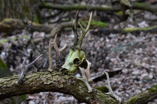 Den navíc se vyplatil.