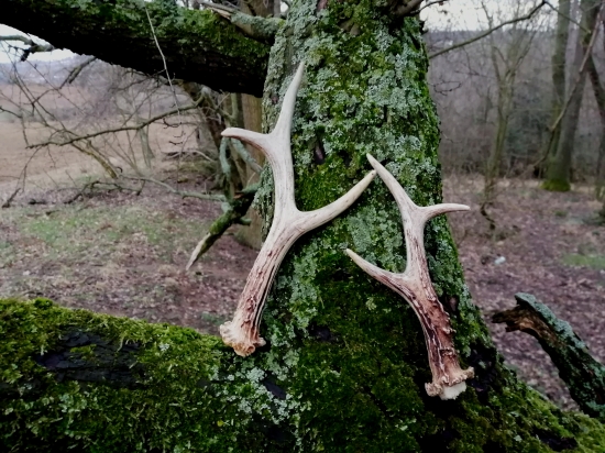 Něco málo z neděle.