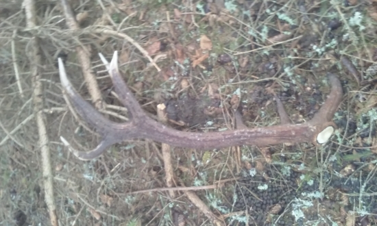 Az mi srdce zastavilo