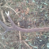 Az mi srdce zastavilo