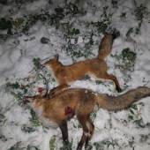 Prvý sneh treba využiť