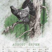 Grafika do nového kalendára 2019