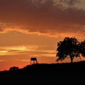 Slniečko už išlo spať