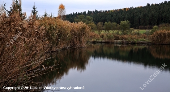 Rybník - aj pre vydry