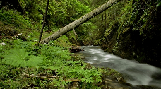 Kaňon Veľkej Bielej vody