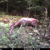 Čo s neho narastie.