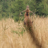 V intímnej chvíľke.