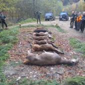 Úspešná spoločná poľovačka